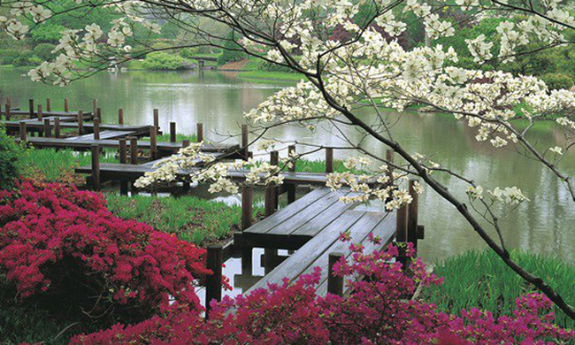 BĐS chuẩn phong cách Nhật Bản: Điểm nhấn khác biệt của thị trường