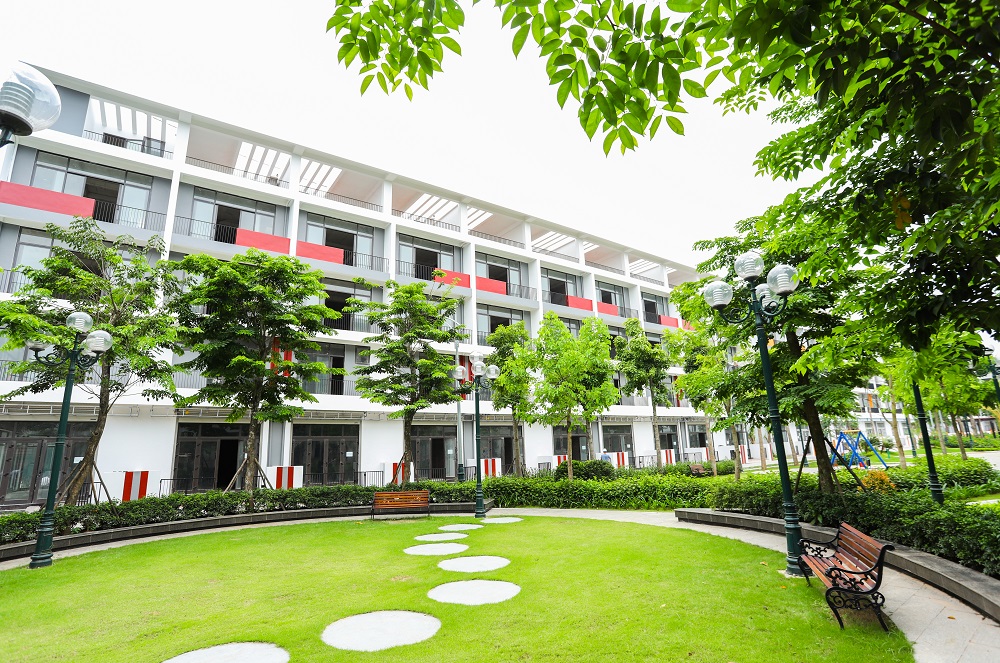 Người trưởng thành tìm kế hoạch chu toàn cho tương lai